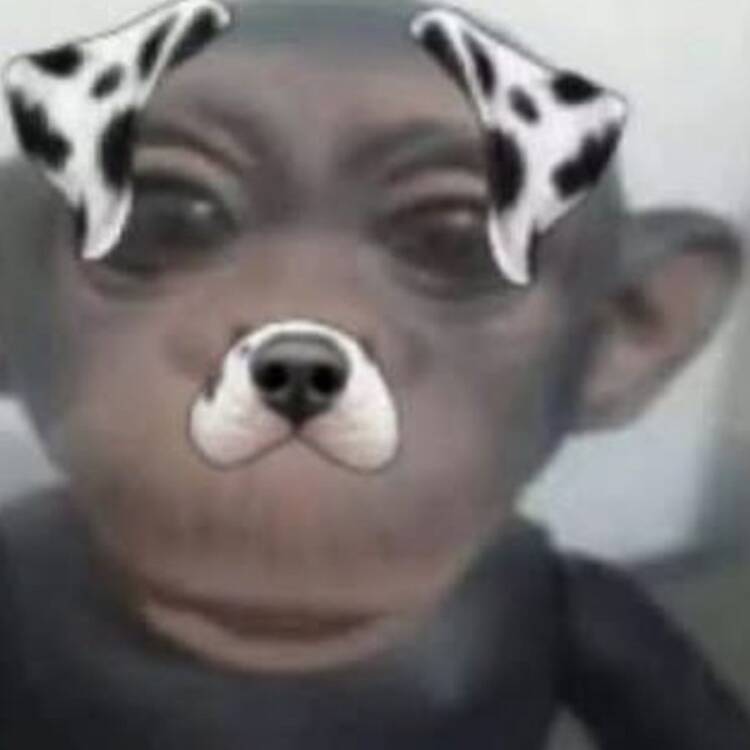 Foto de perfil de Luis