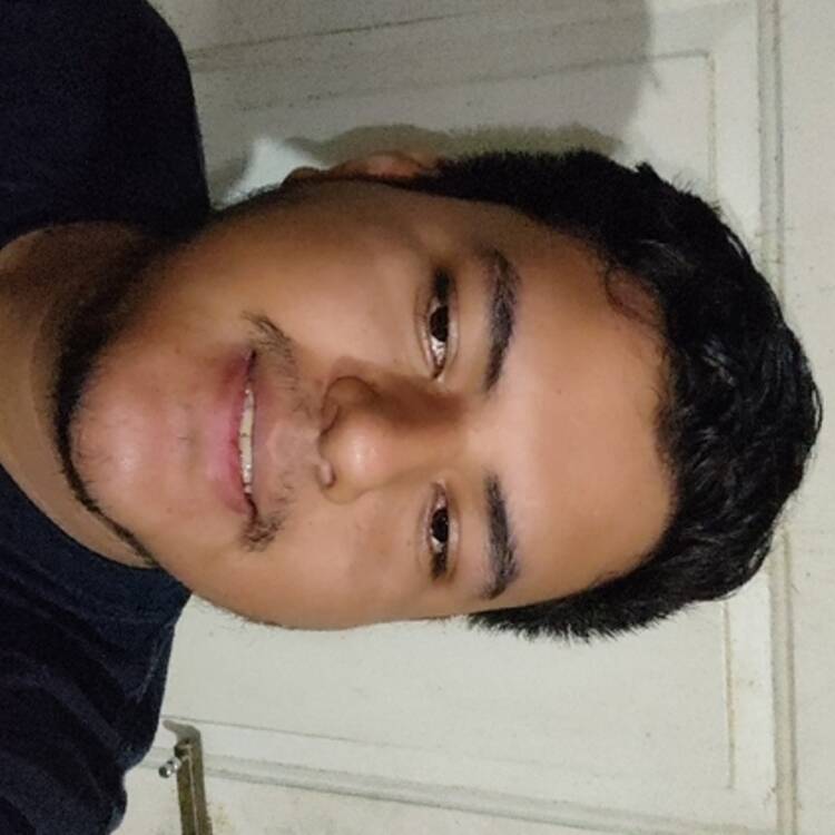 Foto de perfil de Pedro