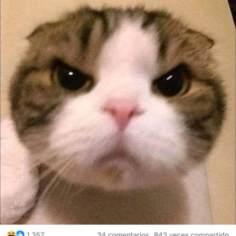 Foto de perfil de Oswaldo