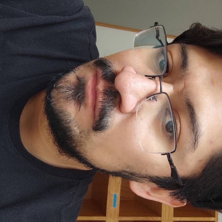 Foto de perfil de Zeus
