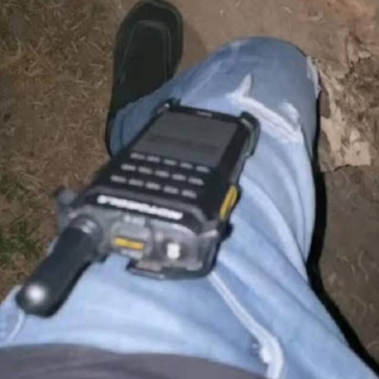 Foto de perfil de Alejandro