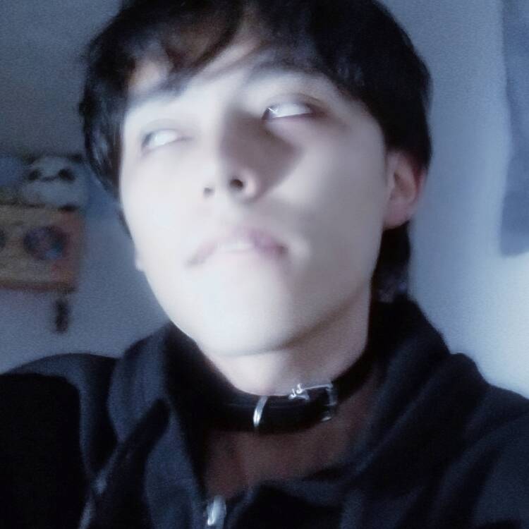 Foto de perfil de Matt