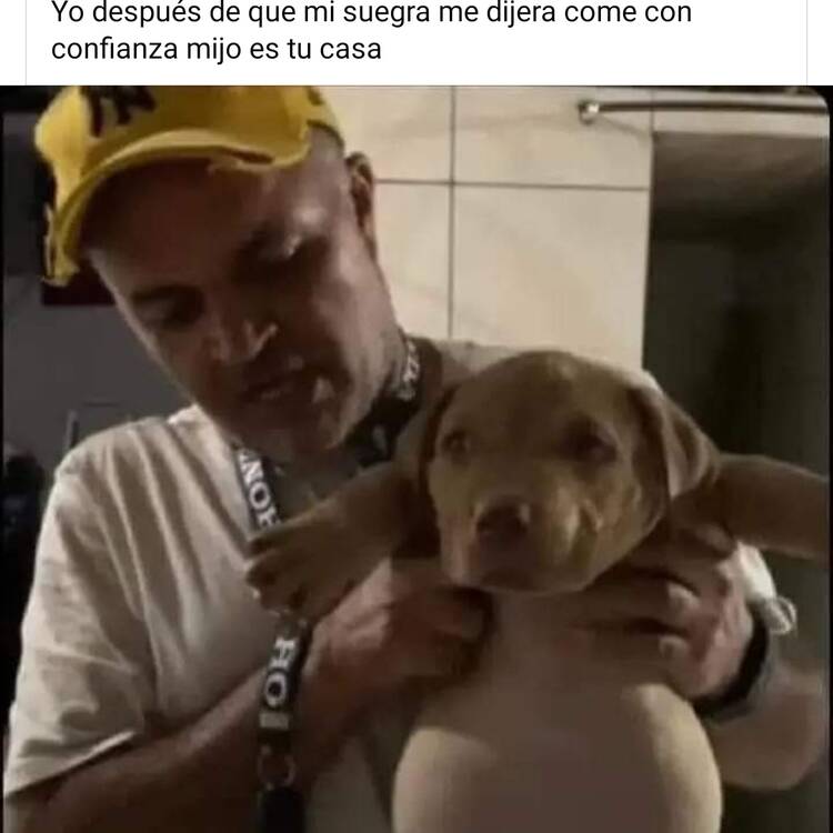 Foto de perfil de Miguel