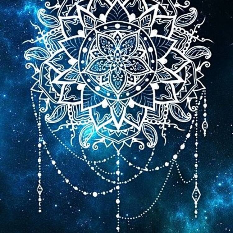 Foto de perfil de rows