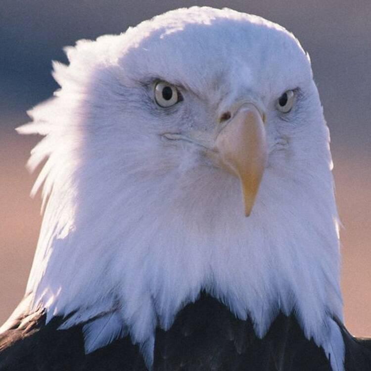 Foto de perfil de ANGEL