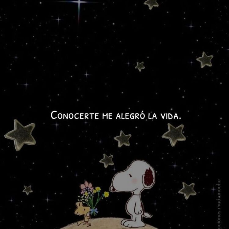 Foto de perfil de Alex