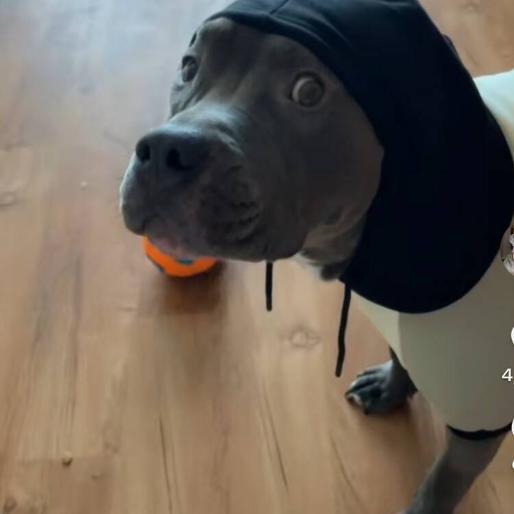 Foto de perfil de Fernando