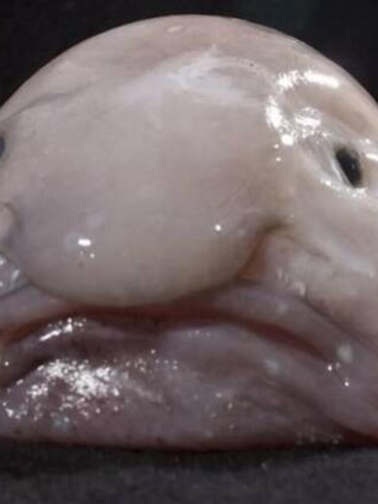 Foto de perfil de a