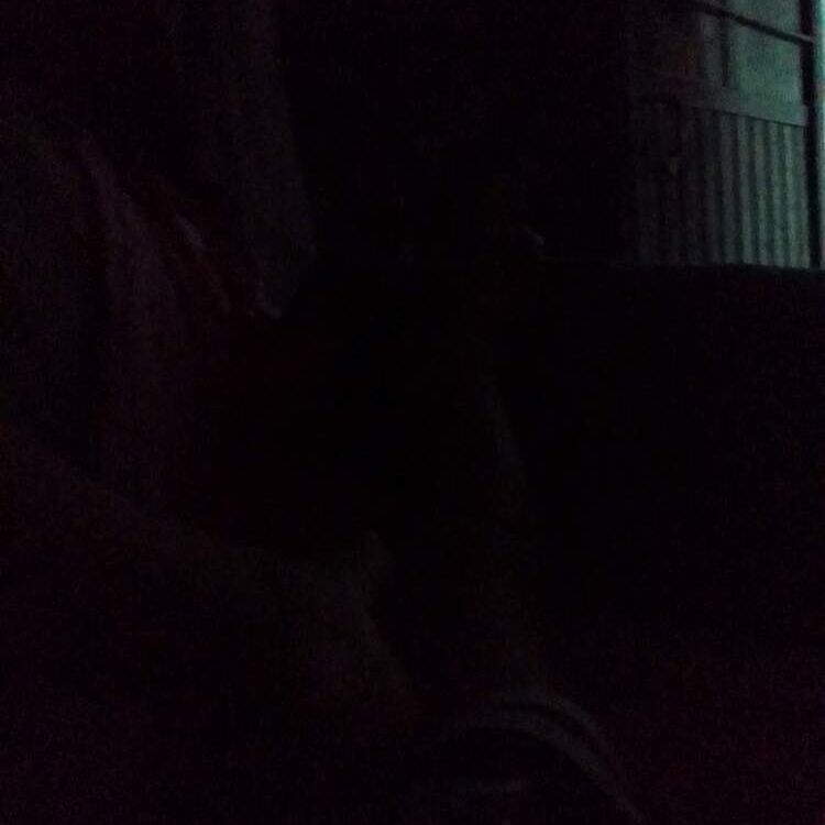 Foto de perfil de Edgi