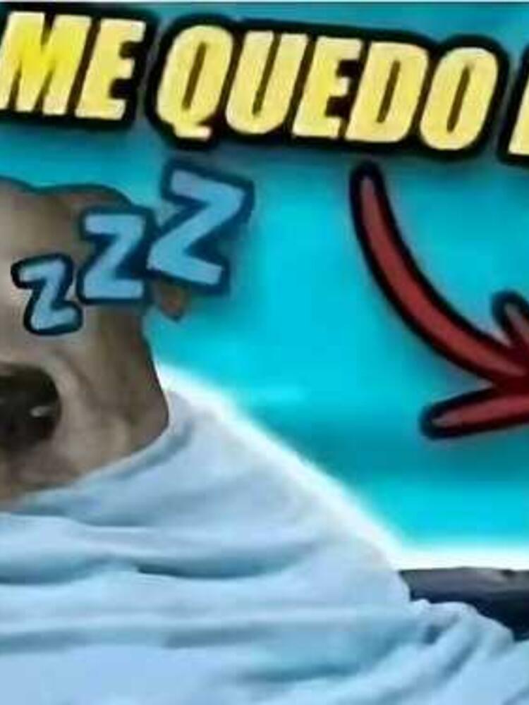 Foto de perfil de Saga