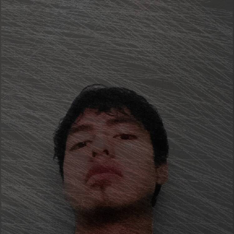 Foto de perfil de Luis